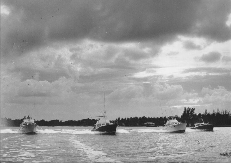 Click to See Next Image